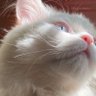 ♡ !'s profile picture