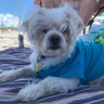 Rita & The Remnant's profile picture
