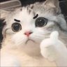 iiikkook profil fotoğrafı