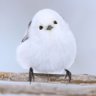 Akiko S ç倎å