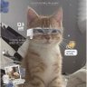난너야🌙 profil fotoğrafı