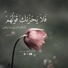 Profilbild von محمد الحميداوي🇮🇶