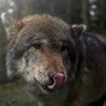 Profilbild von Can