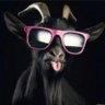 Παρδαλόν ερίφιον's profile picture