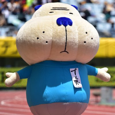 バレーボール取材班🏐日刊スポーツ's profile picture