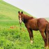 Фото профиля karimi