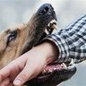 Profilbild von Save Children from #Stray_Dog_Menace