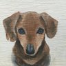 あっつん's profile picture