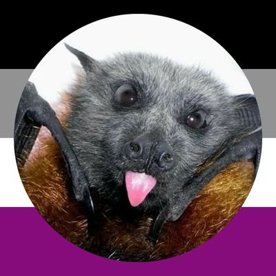 Bats Nightly 🇵🇸's profile picture