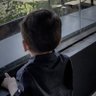 Profilbild von أبو سيف