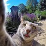 fatih akar profil fotoğrafı