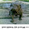 이동일 profil fotoğrafı