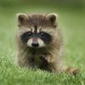 courage profil fotoğrafı