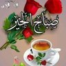 Profilbild von احمد محمود