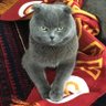😾mtg😸 profil fotoğrafı