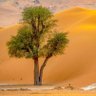 مفتاح النعيمي 的头像