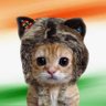 T A C T I C S BILLA's profile picture