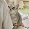Miaomiao's profile picture