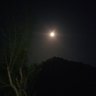 P.KUMAR's profile picture