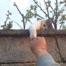 Lulu Gokce profil fotoğrafı