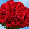 Фото профиля 🌹