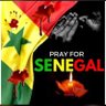 FreeSenegal's profile picture