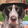 Profilbild von Fernsie