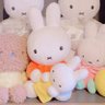 はっち🐰 profil fotoğrafı