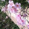 Blanca Aguilar R's profile picture