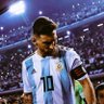 Bruno Morales's profile picture