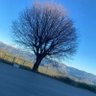 Lucy Betancur's profile picture