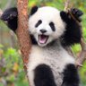Lumii profil fotoğrafı