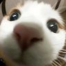 Profilbild von 巴巴博一