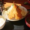 こぶお profil fotoğrafı