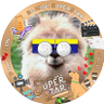 Profilbild von 沙翁💚🌵🐻🐱🌻🧡
