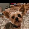Profilbild von Missy