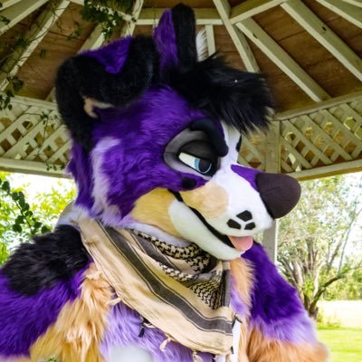 FeroDawg's profile picture