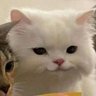 Wei_d95's profile picture