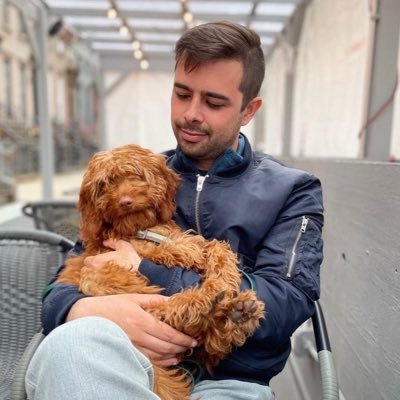 straussanator's profile picture