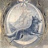 Saltuk's profile picture