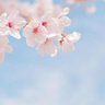 りょうこ profil fotoğrafı
