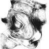 Walkingtombstone13's profile picture