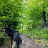 チエ profil fotoğrafı