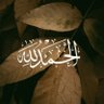 Mohamad's profile picture