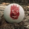 Sr. Wilson's profile picture