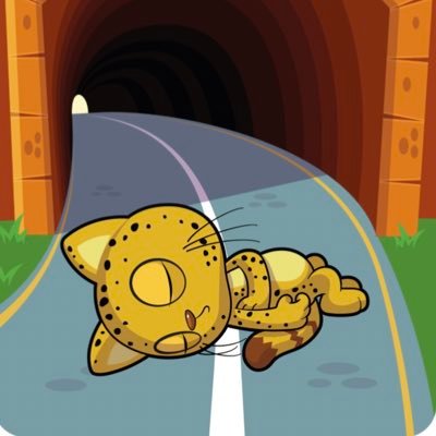 Tommy's profile picture