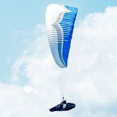 tt_white's profile picture