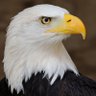 Talikka profil fotoğrafı