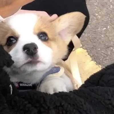 leoling_o's profile picture