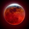 cybernaut66's profile picture